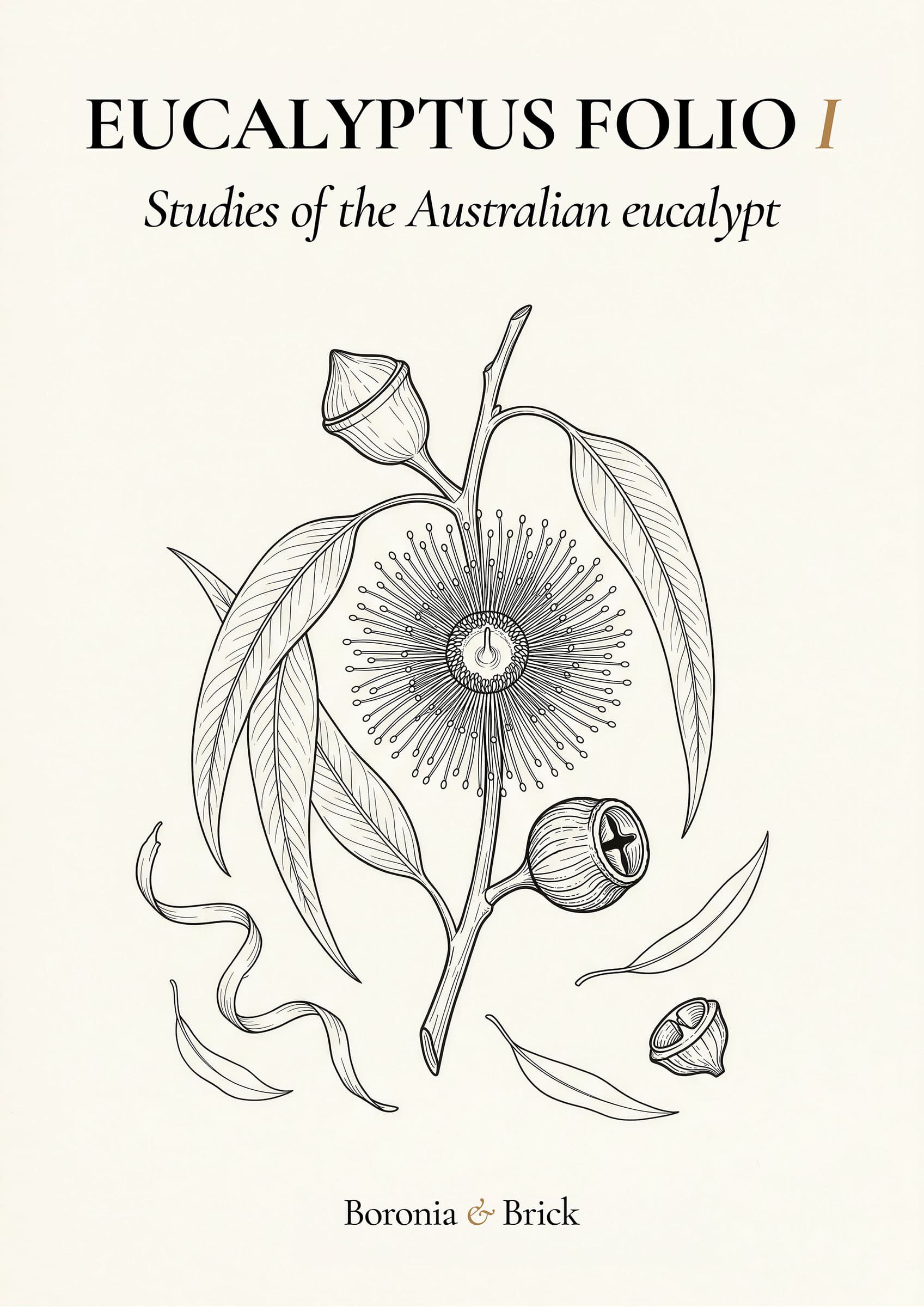Eucalyptus Folio cover, Australian native flora colouring monograph from Boronia & Brick