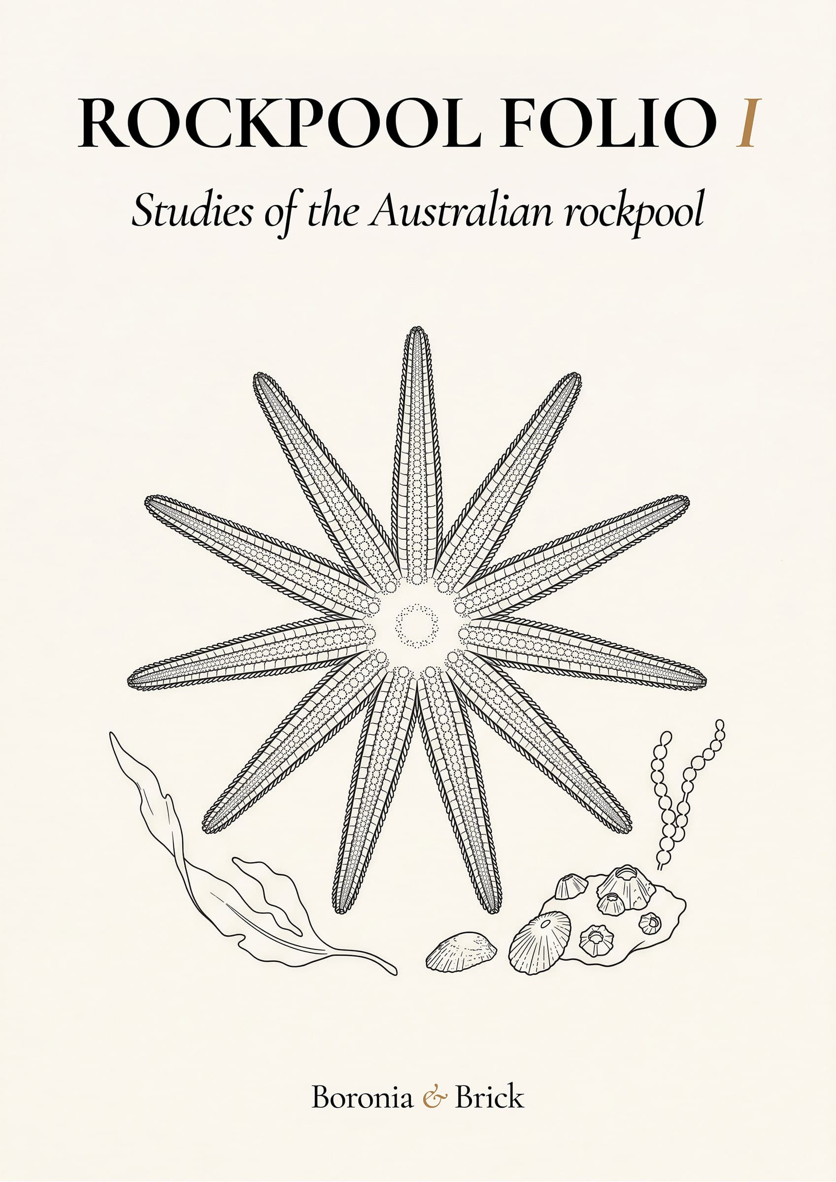 Rockpool Folio cover — Australian natural specimens colouring monograph from Boronia & Brick