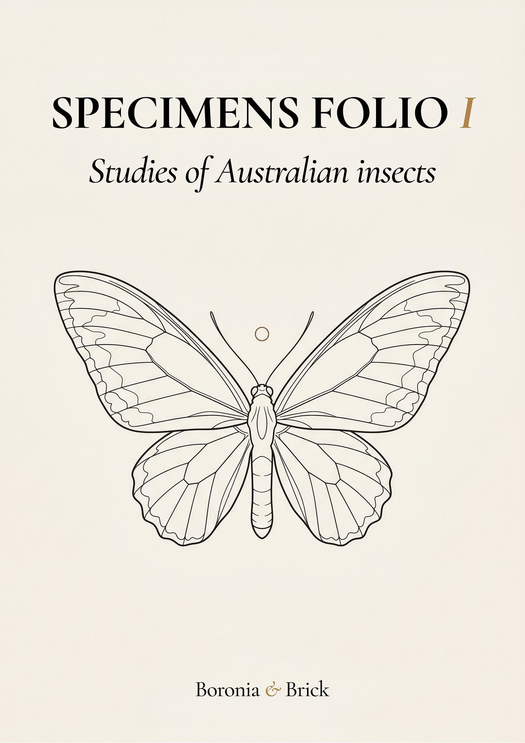 Specimens Folio cover — Australian natural specimens colouring monograph from Boronia & Brick